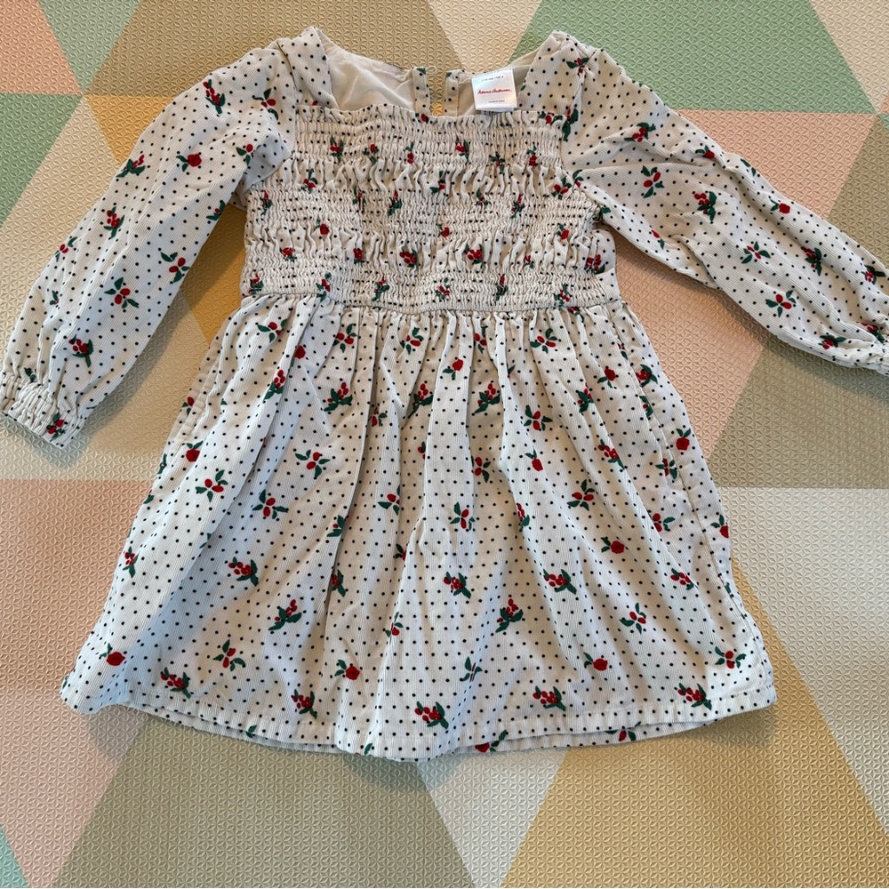 Hanna Andersson Polka Dot Floral Dress Size 4